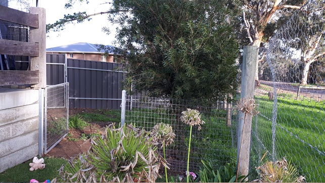 Backyard vegetable garden installation in Little Hampton Adelaide